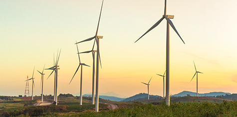 Rows of wind turbines with a sunny skyline